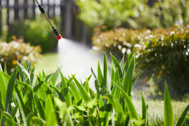 24/7 Emergency Wasp Removal experts in Shelby, MI