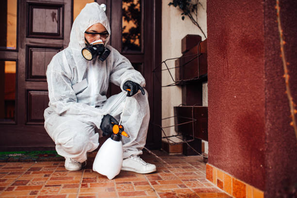 Reliable Wasp Removal contractor in Shelby, MI by Show Me Pest Control